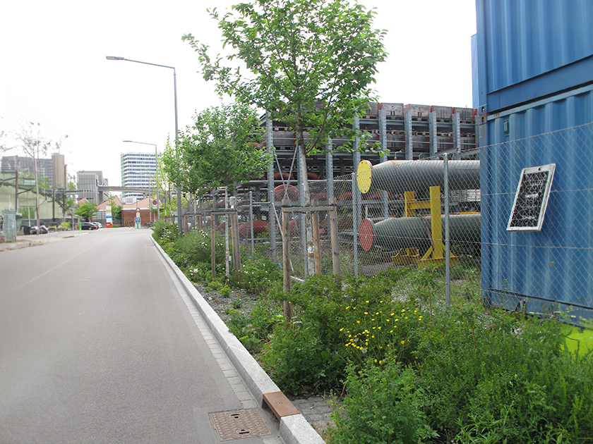 Strassenabschnitt mit Grünstreifen zur Versickerung