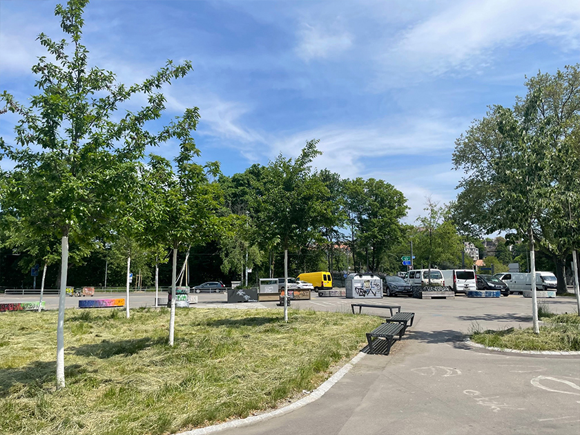 Gepflanzte Bäume auf einem Platz in Baumrigolen mit Grünflächen