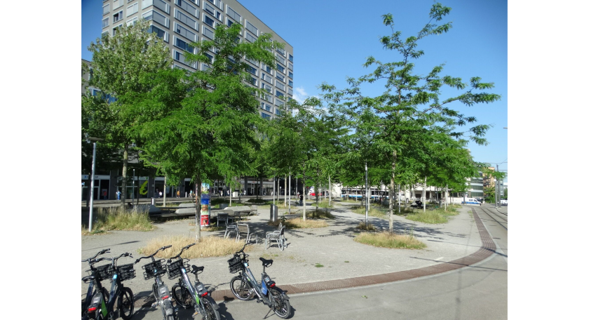 Platz mit Bäumen und durchlässigen Belägen